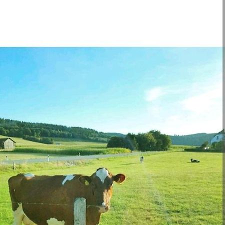 4 Erw. 1 Ki. Ski Entspannung Terasse Ausblick Schmallenberg Ngoại thất bức ảnh