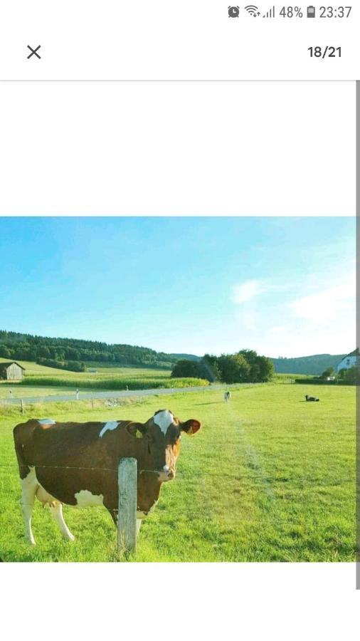 4 Erw. 1 Ki. Ski Entspannung Terasse Ausblick Schmallenberg Ngoại thất bức ảnh